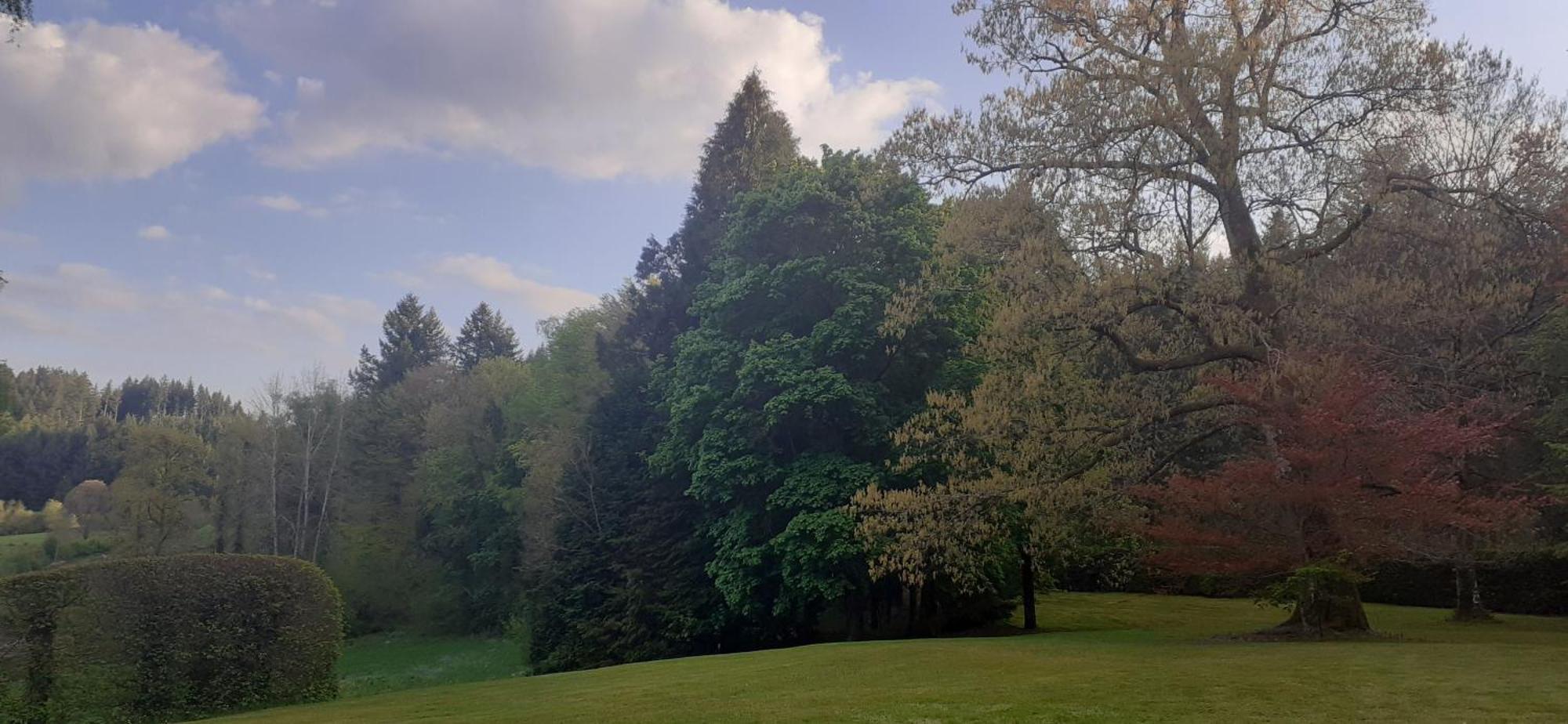 Domaine De Marchal - Chambres Et Table D'Hotes Celles-Sur-Durolle Екстериор снимка